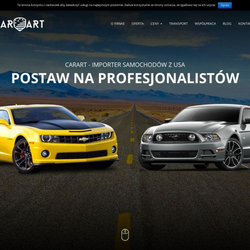 Import aut ze Stanów Zjednoczonych
