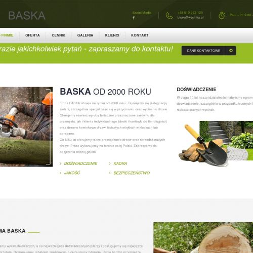 Przycinanie drzew:  Katowice