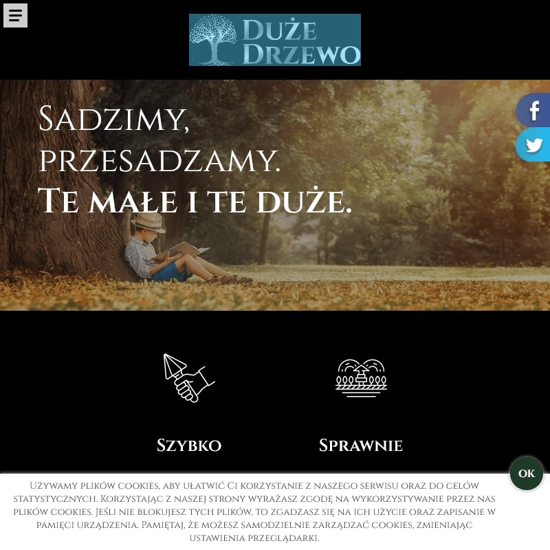 Szkółka dużych drzew: mazowieckie