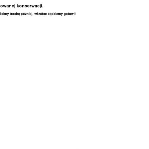 Naprawa bram rolowanych