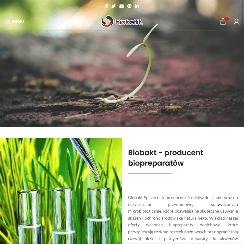 Bakterie: denitryfikacyjne lub nitryfikacyjne