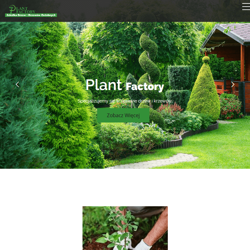 Szkółka krzewów leśnych