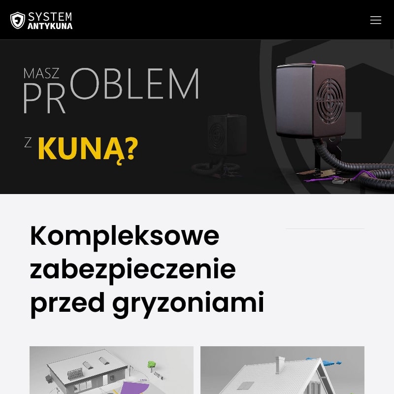 Jak pozbyć się lub wypłoszyć kunę?